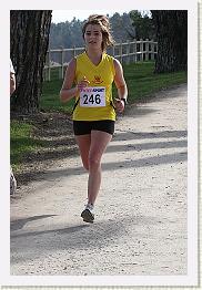 Fargues 15.02.09 3 128 * 320 x 480 * (78KB)